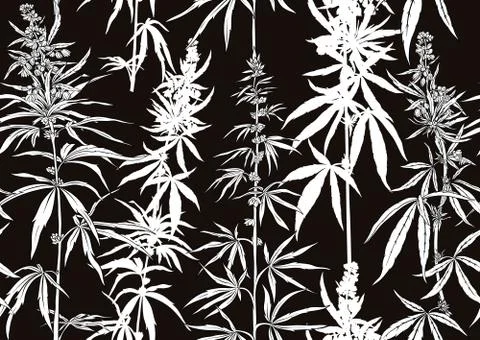 Hemp, Cannabis seamless pattern, background. Stock Illustration