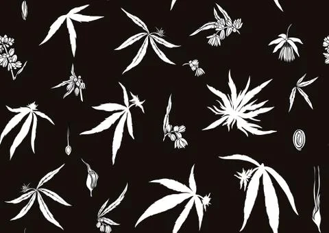 Hemp, Cannabis seamless pattern, background. Stock Illustration