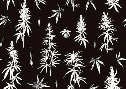 Hemp, Cannabis seamless pattern, background. Stock Illustration