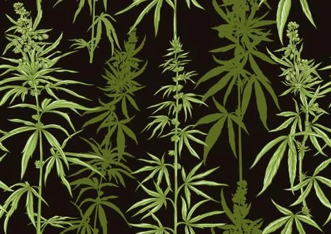 Hemp, Cannabis seamless pattern, background. Stock Illustration