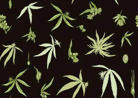 Hemp, Cannabis seamless pattern, background. Stock Illustration