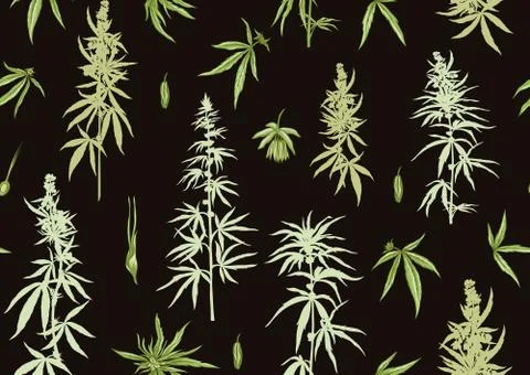 Hemp, Cannabis seamless pattern, background. Stock Illustration