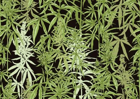 Hemp, Cannabis seamless pattern, background. Stock Illustration