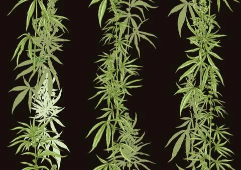 Hemp, Cannabis seamless pattern, background. Stock Illustration