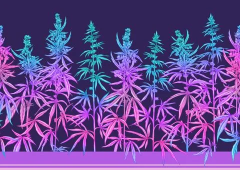 Hemp, Cannabis seamless pattern, background. Illustrazione stock
