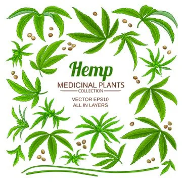 Hemp elements set Stock Illustration