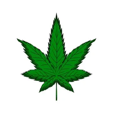 Hemp leaf. Dependence on marijuana. Vector illustration. Hand drawing. Illustrazione stock