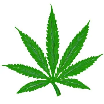 Hemp leaf on white background - illustration Stock Illustration