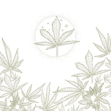 Hemp, leaves and stems Stock Illustration