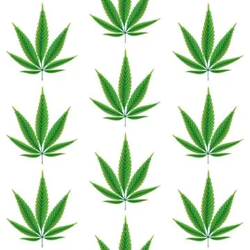 Hemp leaves seamless pattern Stock Illustration