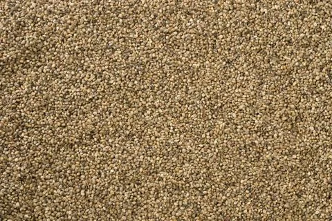 Hemp seed background Stock Photos
