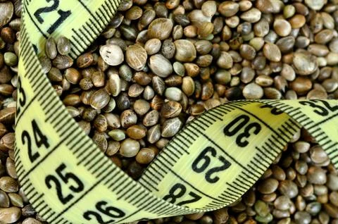 Hemp seeds with centimeter Stock Photos