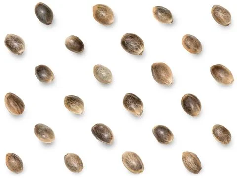 Hemp seeds in diagonal pattern Stock Photos