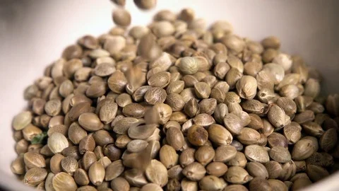 Hemp seeds falling into dish, slow motion Stock Footage 77381337