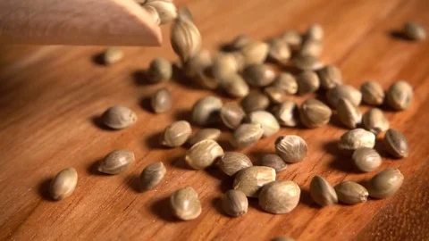 Hemp seeds falling in slow motion Stock Footage 77380930