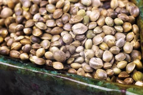 Hemp seeds in macro Foto stock