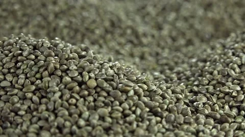 Hemp Seeds (not loopable) Stock Footage 49683975