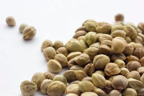 Hemp seeds Foto stock