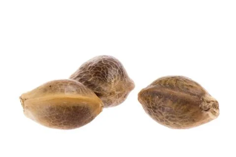 Hemp Seeds Stock Photos