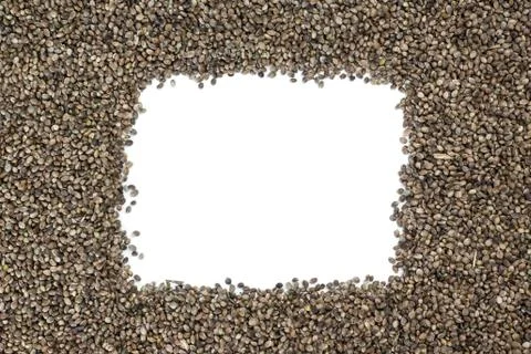 Hemp Seeds Stock Photos
