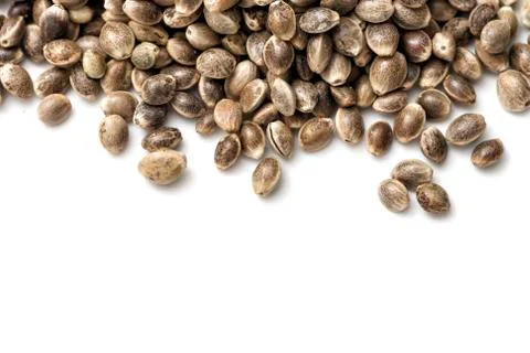 Hemp seeds Stock Photos