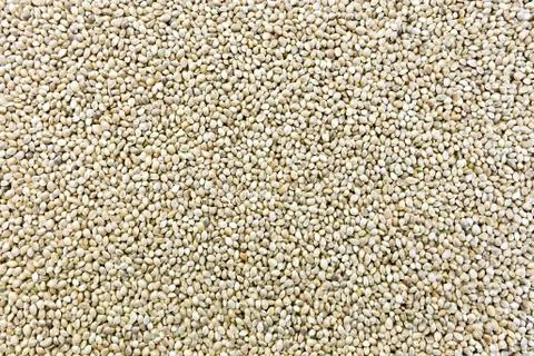 Hemp seeds texture Stock Photos