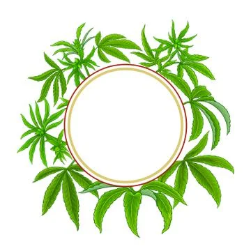 Hemp vector frame Stock Illustration