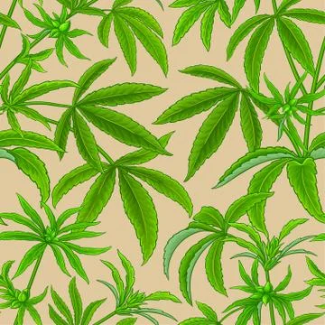 Hemp vector pattern Stock Illustration