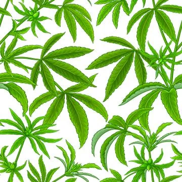 Hemp vector pattern Illustrazione stock