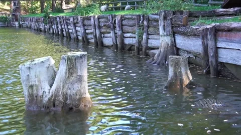 Hemp in the water Video stock 138348425