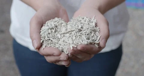 Hempcrete shreds in hand presented Video stock 79887990