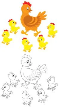 Hen and chicks Stock Illustration