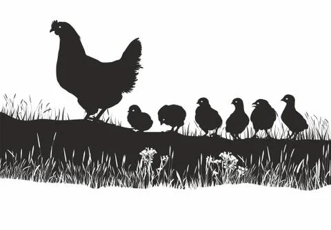 Hen and chicks on spring meadow Stock Illustration