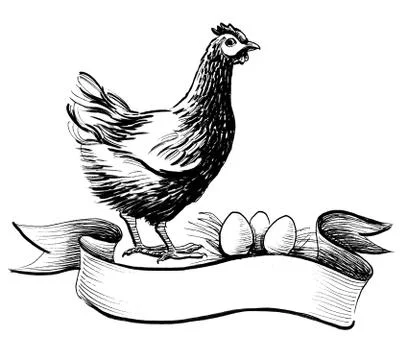 Hen and eggs Stock Illustration