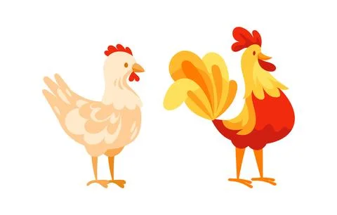 Hen and Rooster standing side by side representing poultry farming 스톡 일러스트