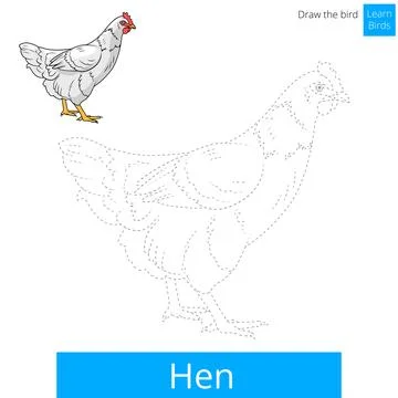 Hen bird learn to draw vector Illustrazione stock
