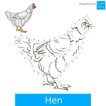 Hen bird learn to draw vector Stock Illustration
