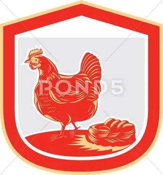 Hen chicken nest egg shield retro Stock Illustration