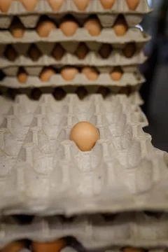Hen egg in eco reusable container in supermarket, Some eggs on background Foto stock