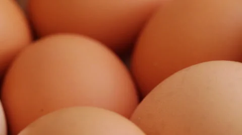 Hen eggs on rotating stand - closeup Stock Footage 50794776