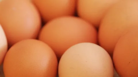 Hen eggs on rotating stand - closeup Stock Footage 50795987