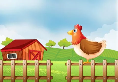 A hen at the field with a barnhouse Stock Illustration