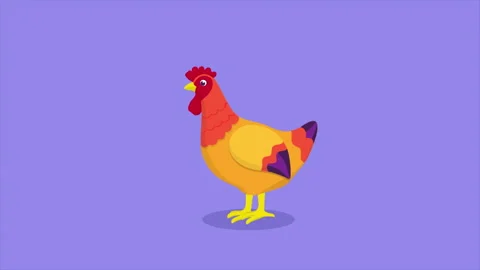 Hen Stock Footage 219558600