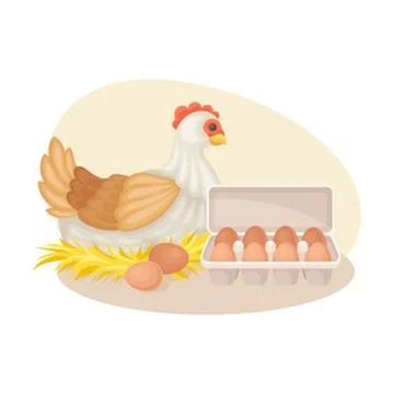 Hen Hatching Eggs as Poultry Breeding Vector Composition 스톡 일러스트