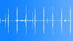 Hen House InteriorSound Effect