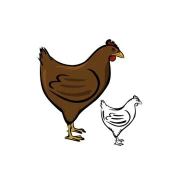 Hen Stock Illustration