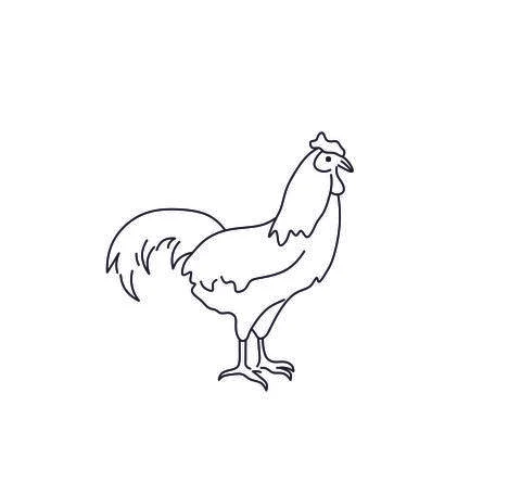 Hen Stock Illustration