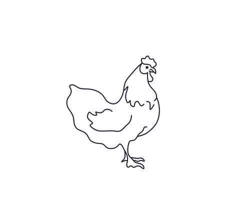 Hen Stock Illustration