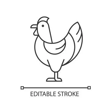 Hen linear icon Stock Illustration