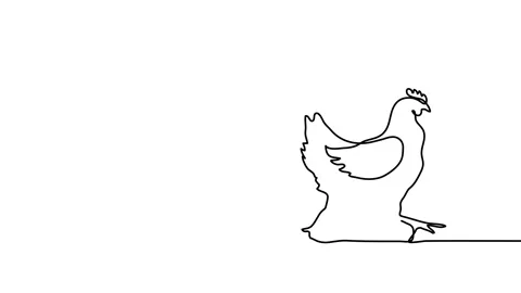 Hen or chicken single line animated illustration. One continuous self drawing Stock Footage 302573551